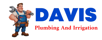 Trusted plumber in WARNER